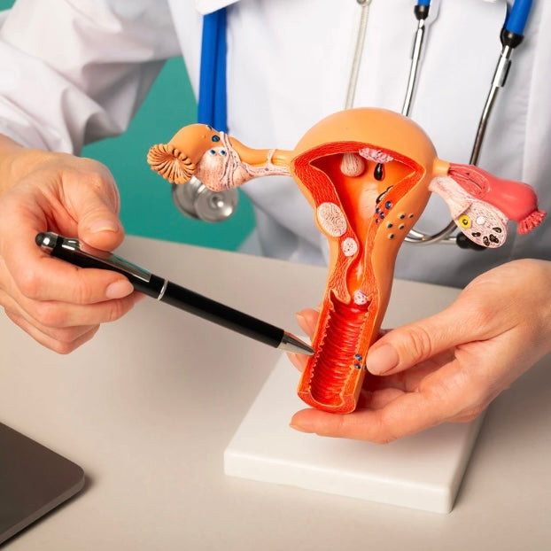 Eerste afspraken bij de dokter en de Gynaecoloog (deel 2)